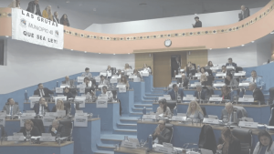 Legislatura de Río Negro